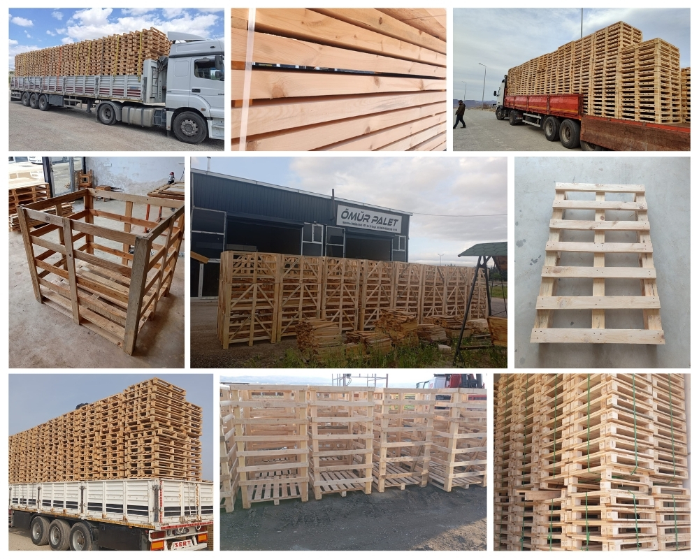 Zaandam Houten Kisten, Europallets Groothandel Kopen